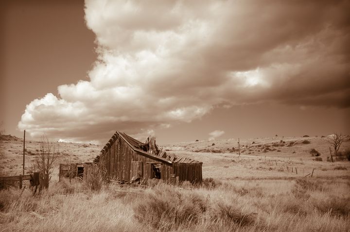 John  Bartelt tweet media