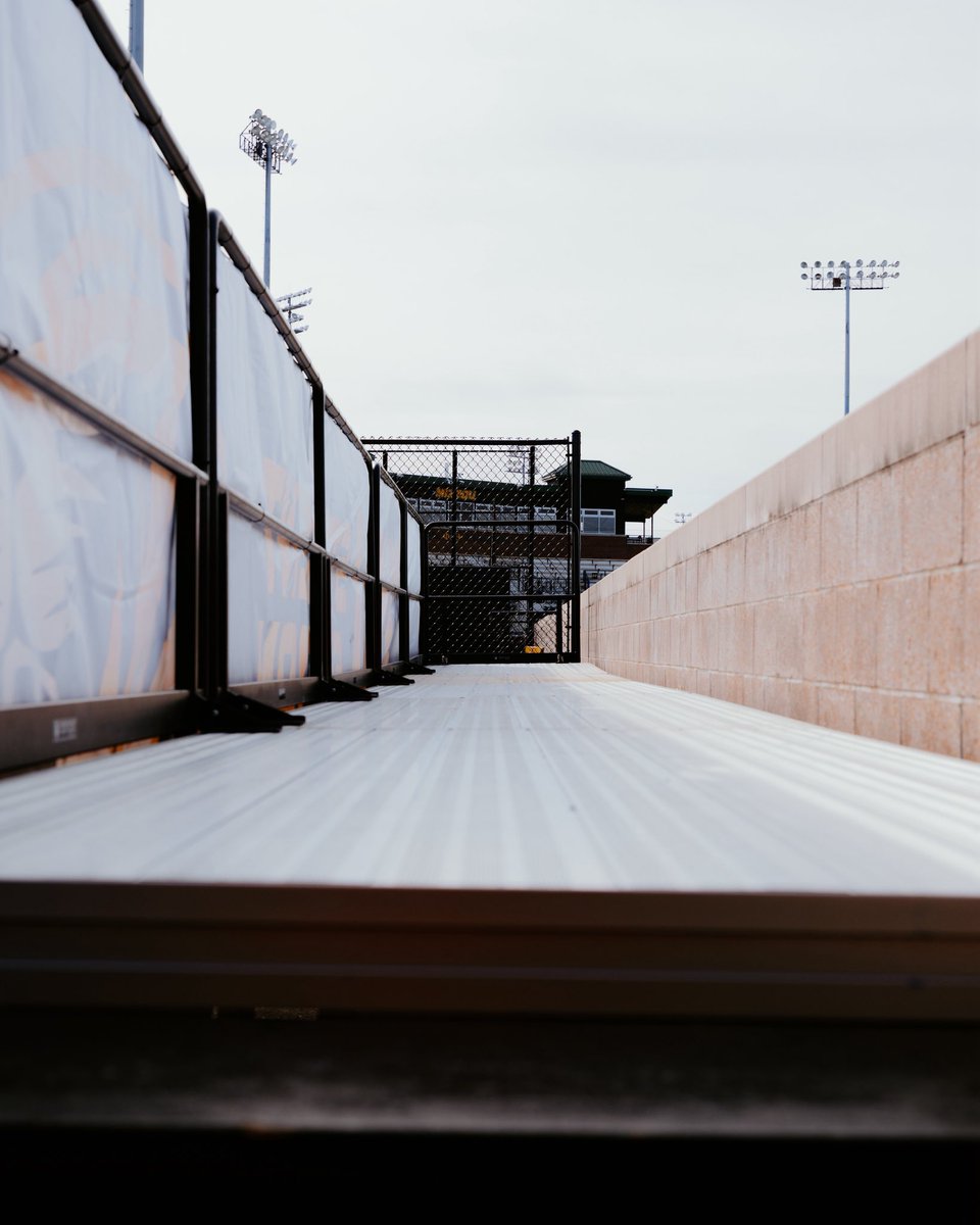 Mizzou Baseball tweet media