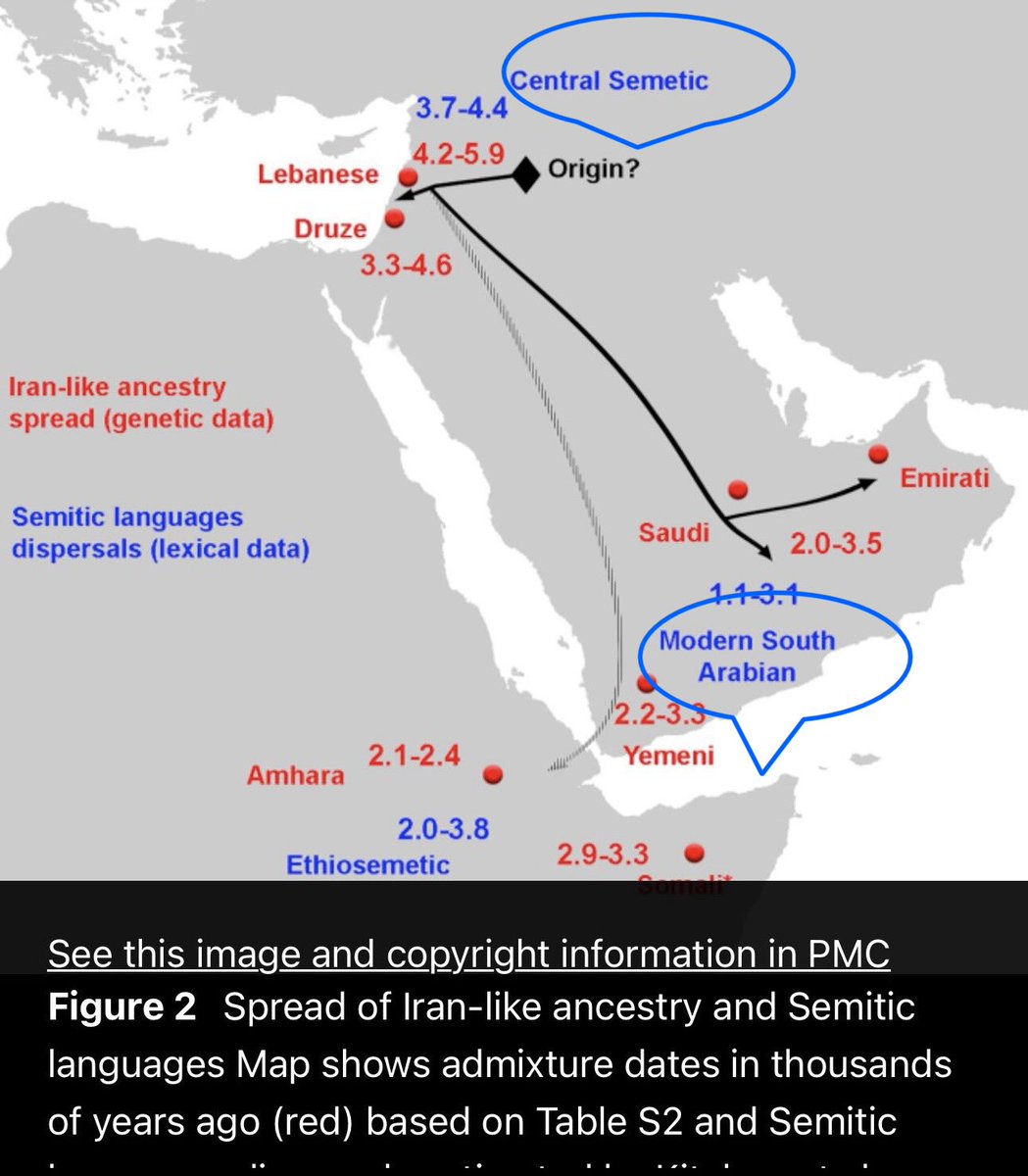 نوماد 🐪 tweet media