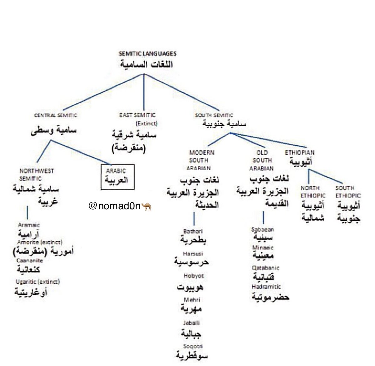 نوماد 🐪 tweet media