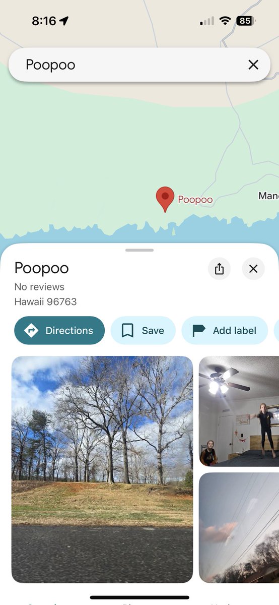 fartflamer's tweet photo. @boswonly @EHawk753 @ughitssummer I build this walkable city in hawaii

Thats why it has such an immature name https://t.co/FCnrBjVtEu