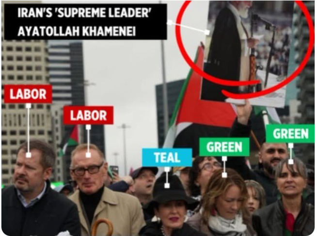 Kerrie McCaffrey tweet media