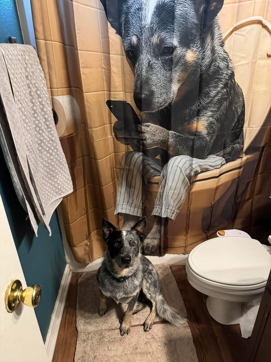 twaniimals's tweet photo. https://t.co/C78URVjtRX
