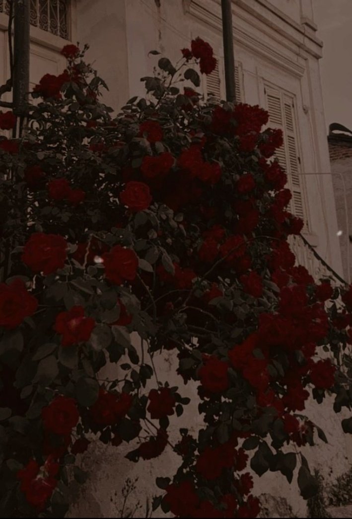 𝘮𝘰𝘤𝘬𝘪𝘯𝘨𝘫𝘢𝘺.𝘦𝘭𝘦𝘨𝘺★ tweet media