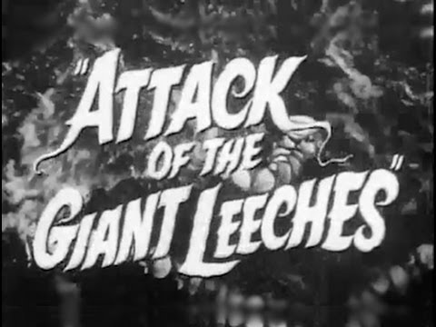 Off Beat Cinema ☕️ 🎥 tweet media