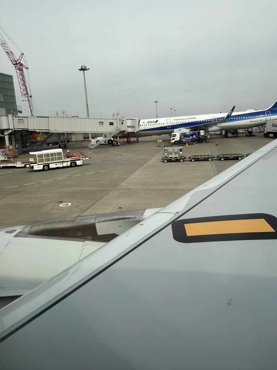 (ฅ`･ω･´)っ=char tweet media