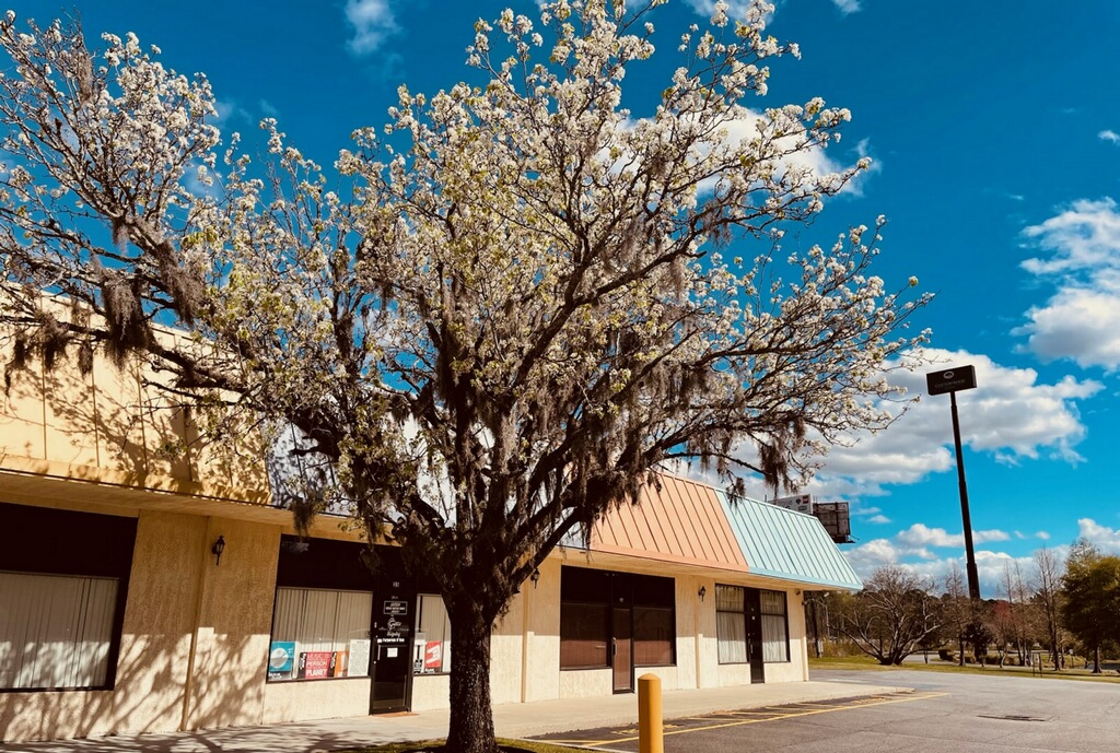 fred gretsch tweet media