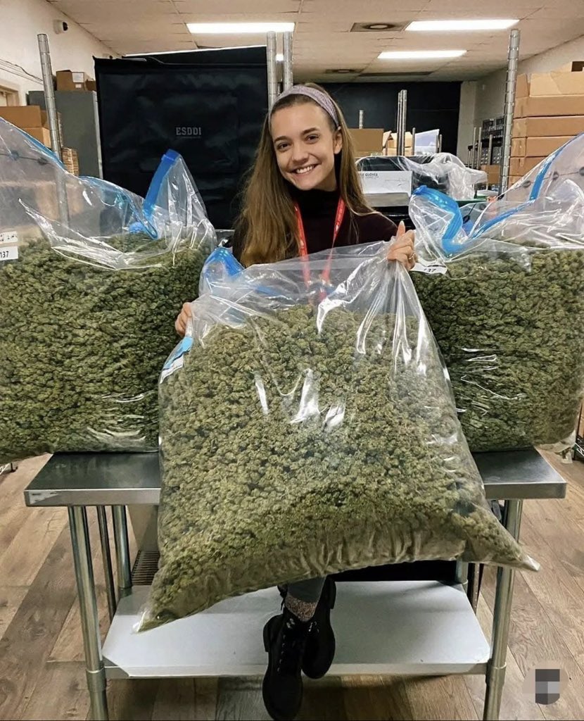 ELMER'S BUDD tweet media