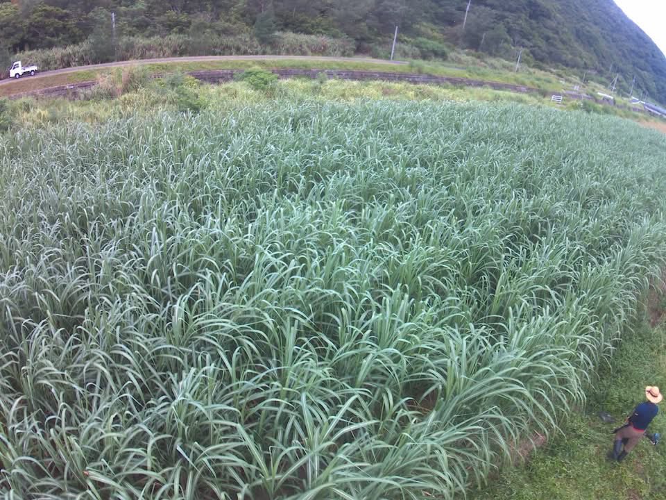 里の曙・町田酒造 tweet media