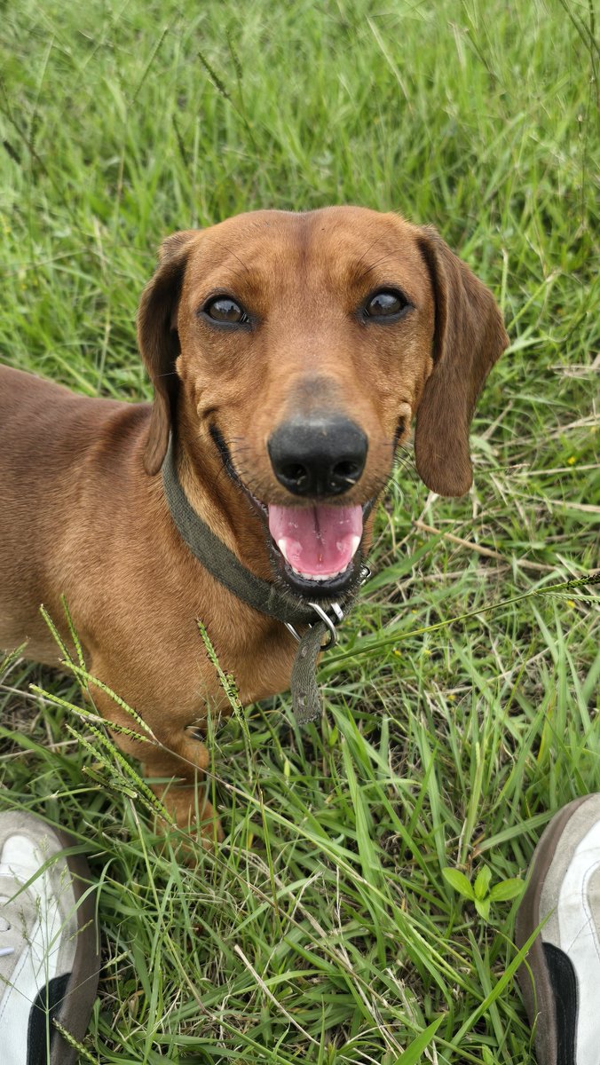 Ema Fernández tweet media