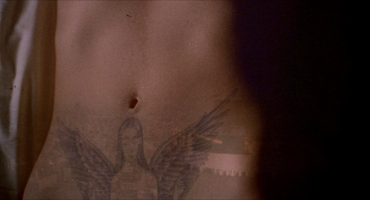 swan song tweet media