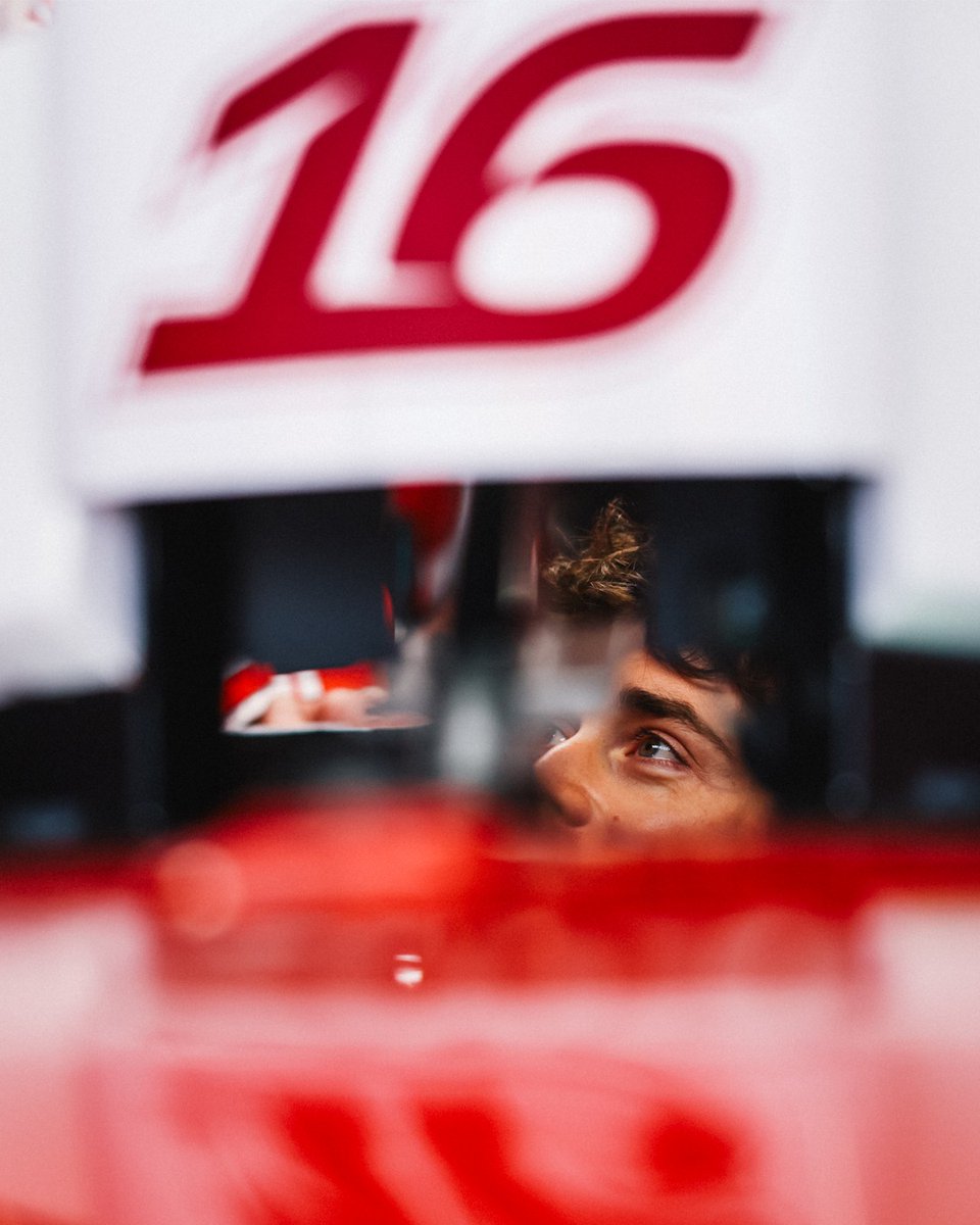 ๐ฎ๐๐๐๐๐๐ ๐ธ๐๐๐ฌ๐๐๐๐๐๐. tweet media