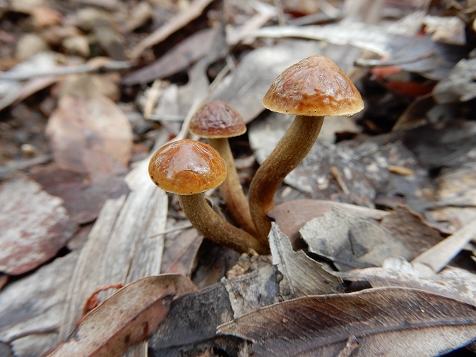 Manami.N tweet media