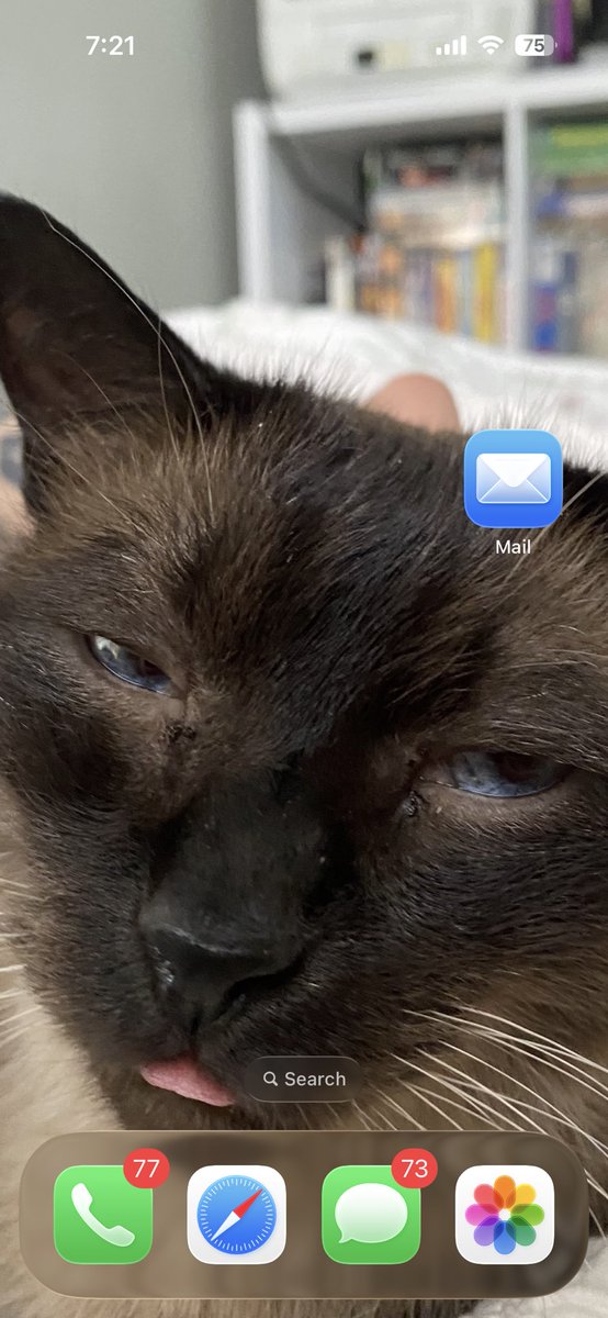 kjaypaw :3 tweet media