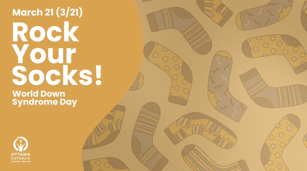 Grade 1 Grizzlies tweet media