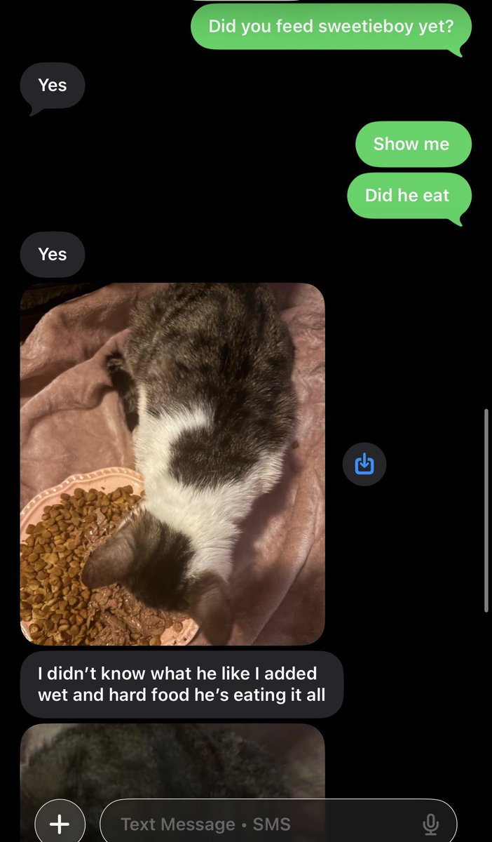 Fortnite🐾 tweet media