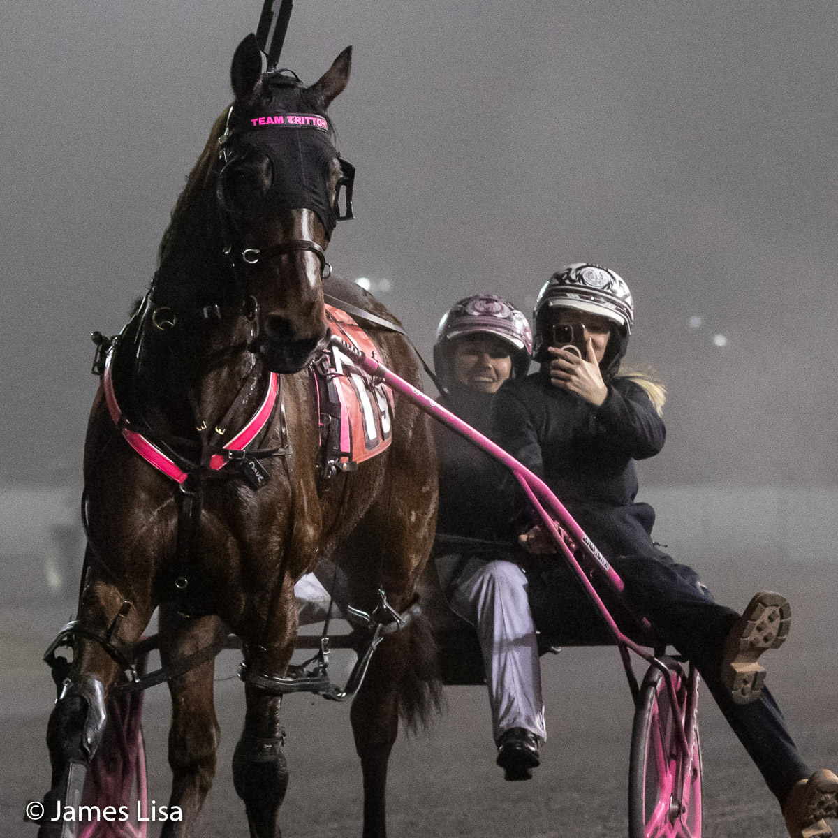 Lisa Photo tweet media