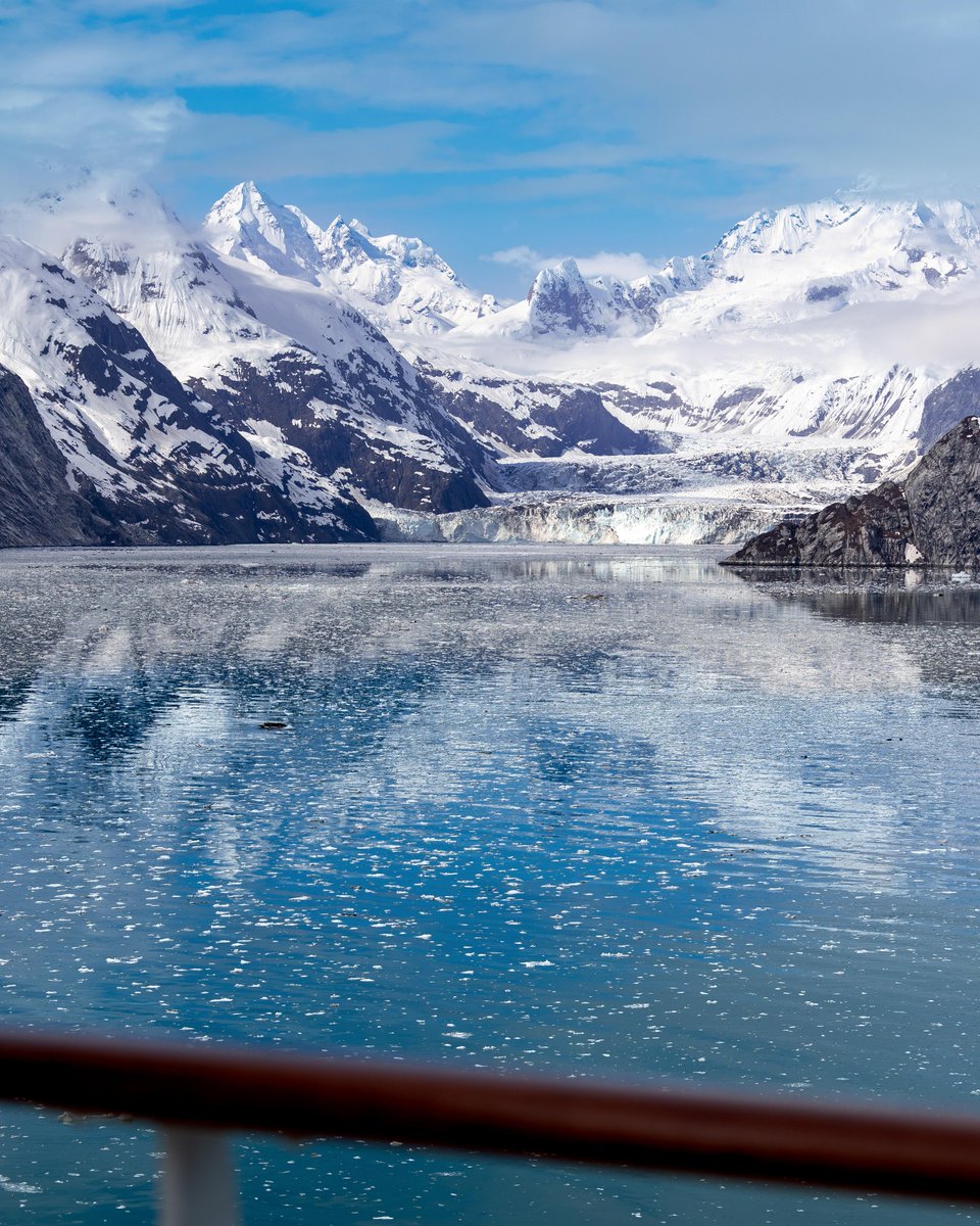 Princess Cruises tweet media