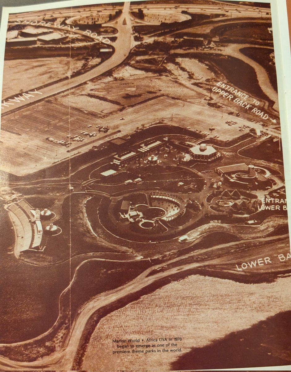 SumarSummers tweet media