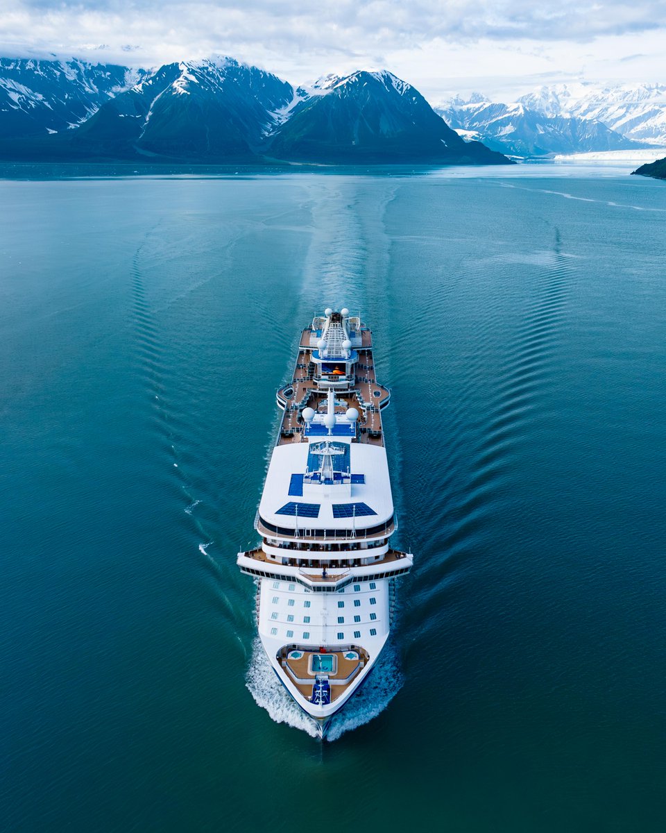 Princess Cruises tweet media