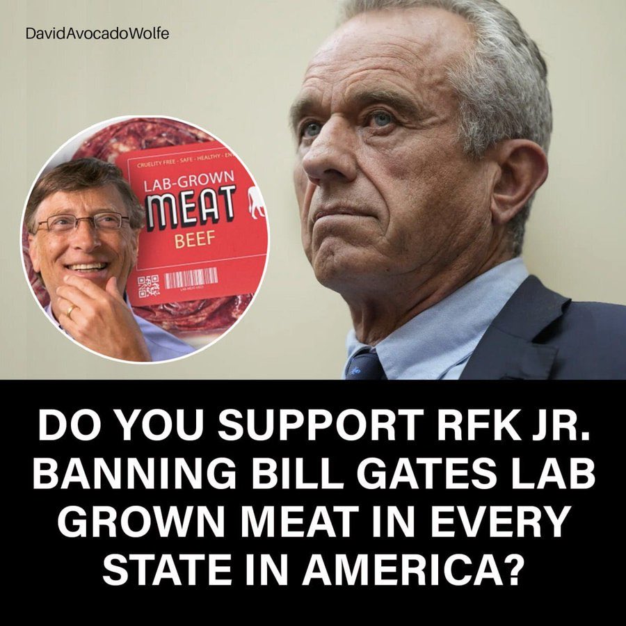 LadyValor tweet media