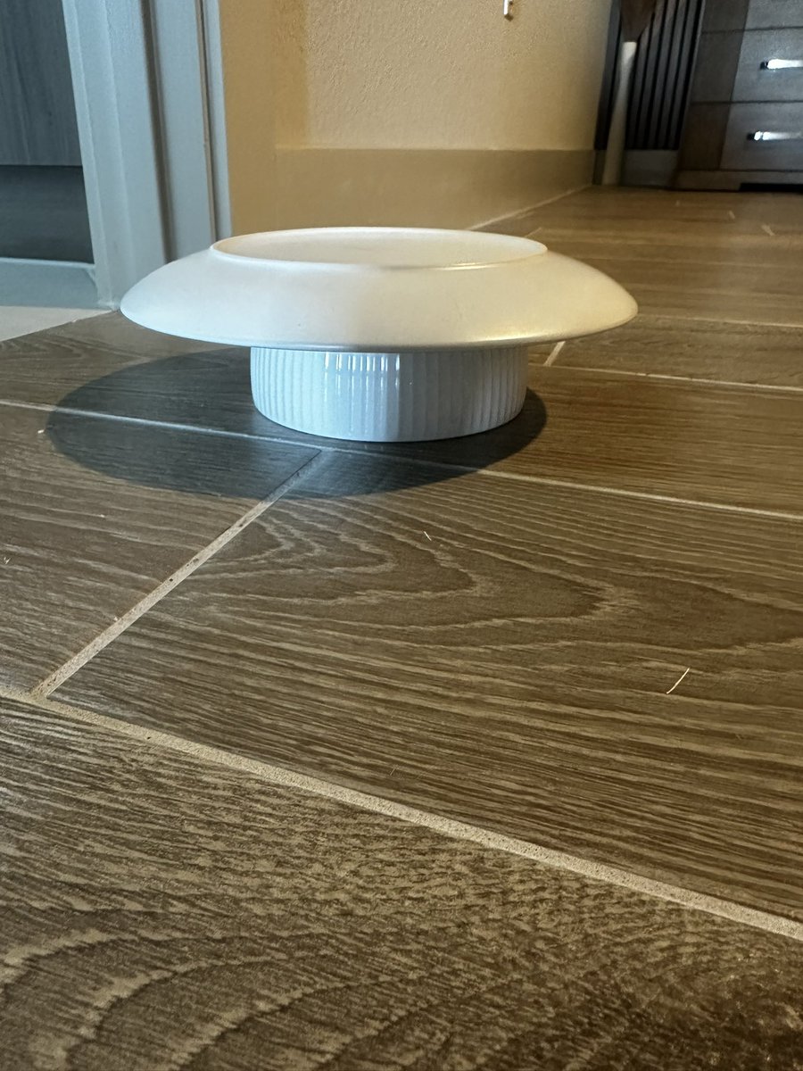 Breanna Morello tweet media