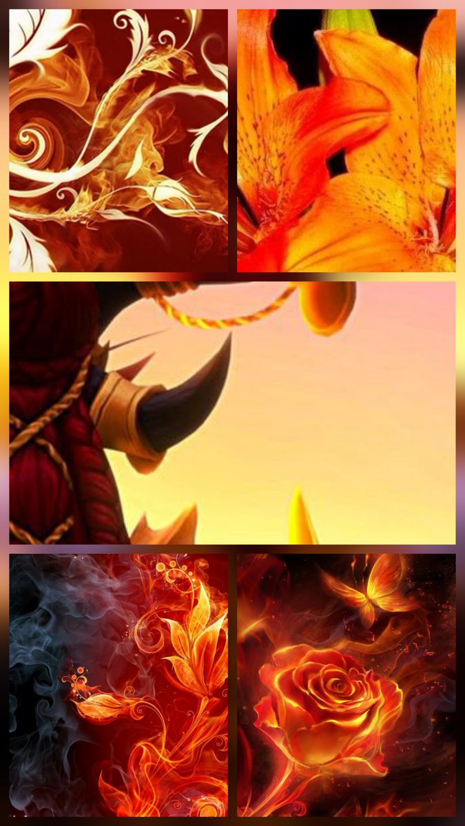 A L E X S T R A Z A tweet media