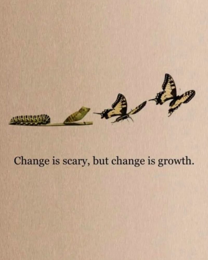 schonken's tweet photo. https://t.co/QHoItgyHRM