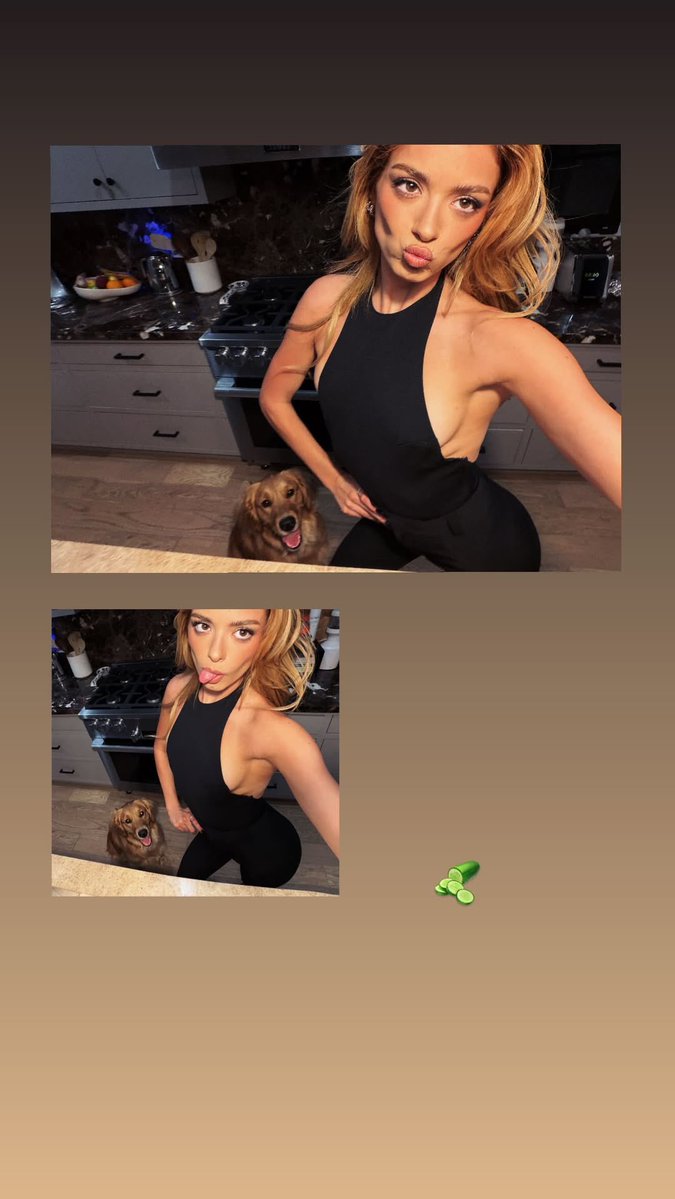 DADDY DIXIE tweet media