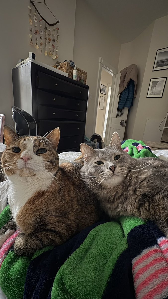 erinbirmingham's tweet photo. @iamstilljess My lil nautical bbs - Jetty and Buoh https://t.co/Tn31bHDLlH