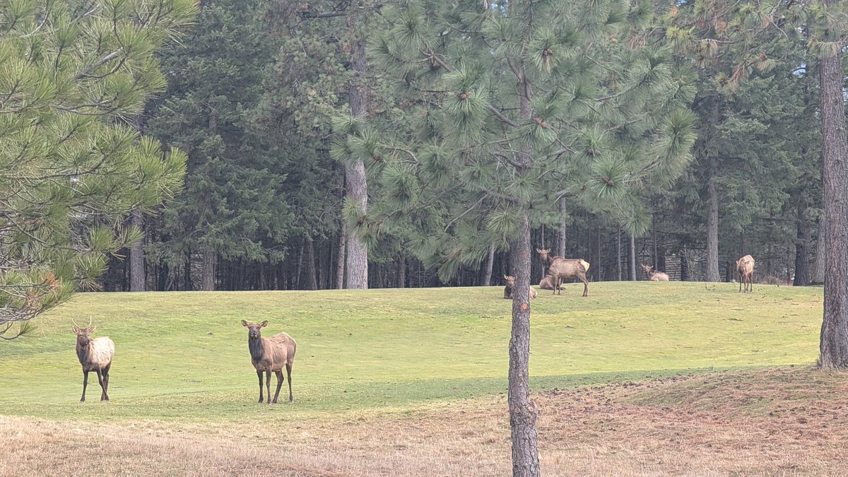DanFredGCS's tweet photo. @GCSAA_NW @RMGCSA @OregonGCSA @PeaksGCSA @IEGCSA @UtahGCSA @IdahoGCSA @GCSAA It's been brutal! Sorry I don't quite qualify for your request. https://t.co/bXThZn5PdF