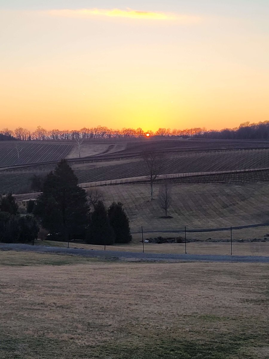 winecompass's tweet photo. WineCompass Blog => Vineyard Mechanization Through Stone Tower Winery to the EWE @StoneTowerWine @vawine @VisitLoudoun #underthebevfleunce #winelover #easternwineryexpo

https://t.co/0sE6MkzkPj https://t.co/3bGT37pjo8