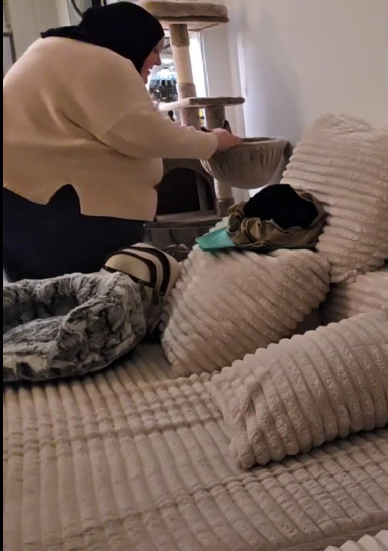 Fondue SpiteFulBisch 🧀 tweet media