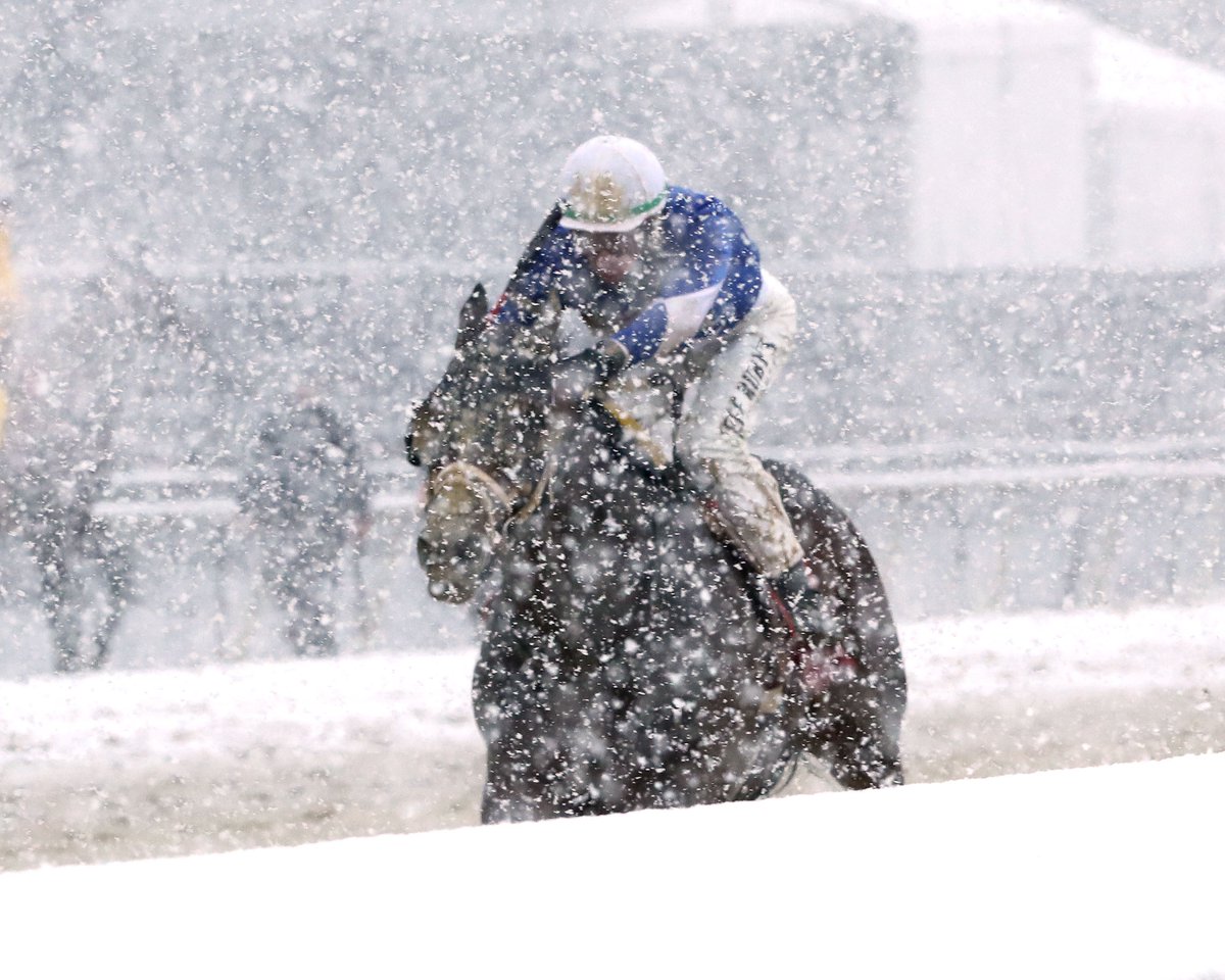 coadymediaUSA's tweet photo. We can officially say today was the first time we’ve photographed @ColonialDowns in the snow 🌨️ #FirstForEverything https://t.co/tj18mGROtP