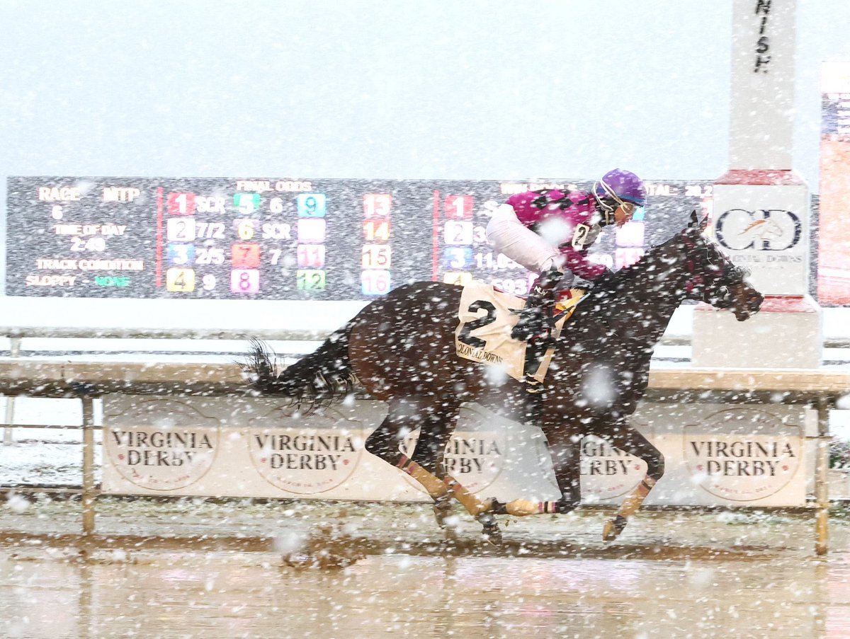coadymediaUSA's tweet photo. We can officially say today was the first time we’ve photographed @ColonialDowns in the snow 🌨️ #FirstForEverything https://t.co/tj18mGROtP