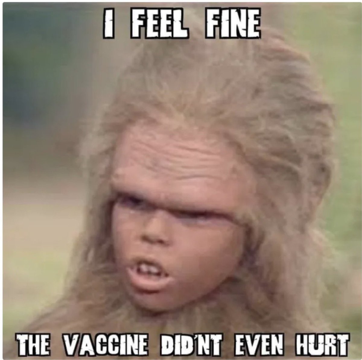 MountGinkgo tweet media