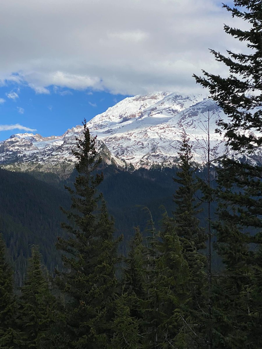 Visit Rainier tweet media