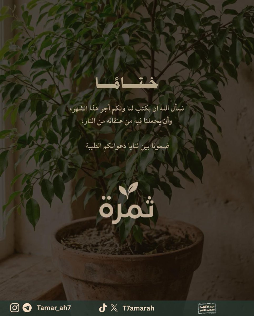 ثَمَرَة tweet media