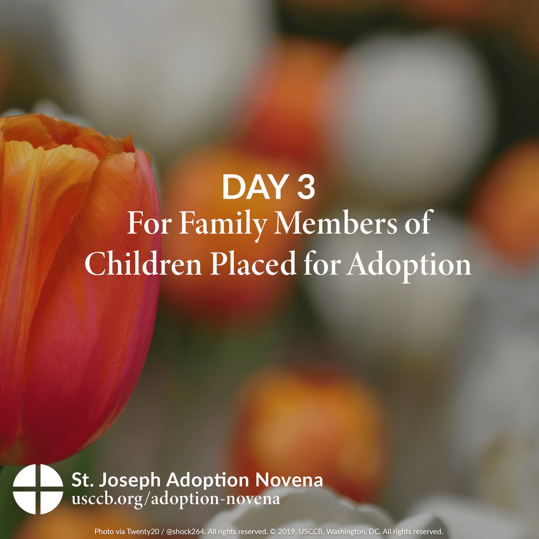 USCCB Respect Life tweet media