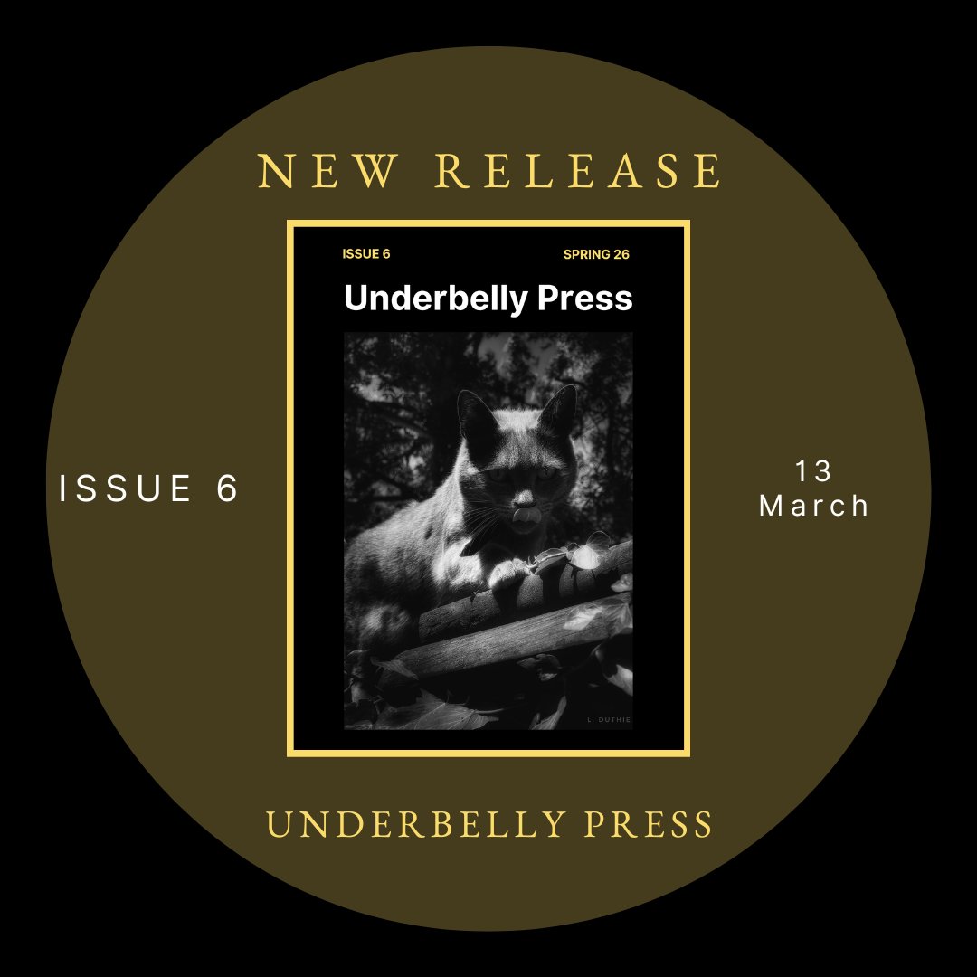 Underbelly Press - ISSUE 6 OUT NOW tweet media