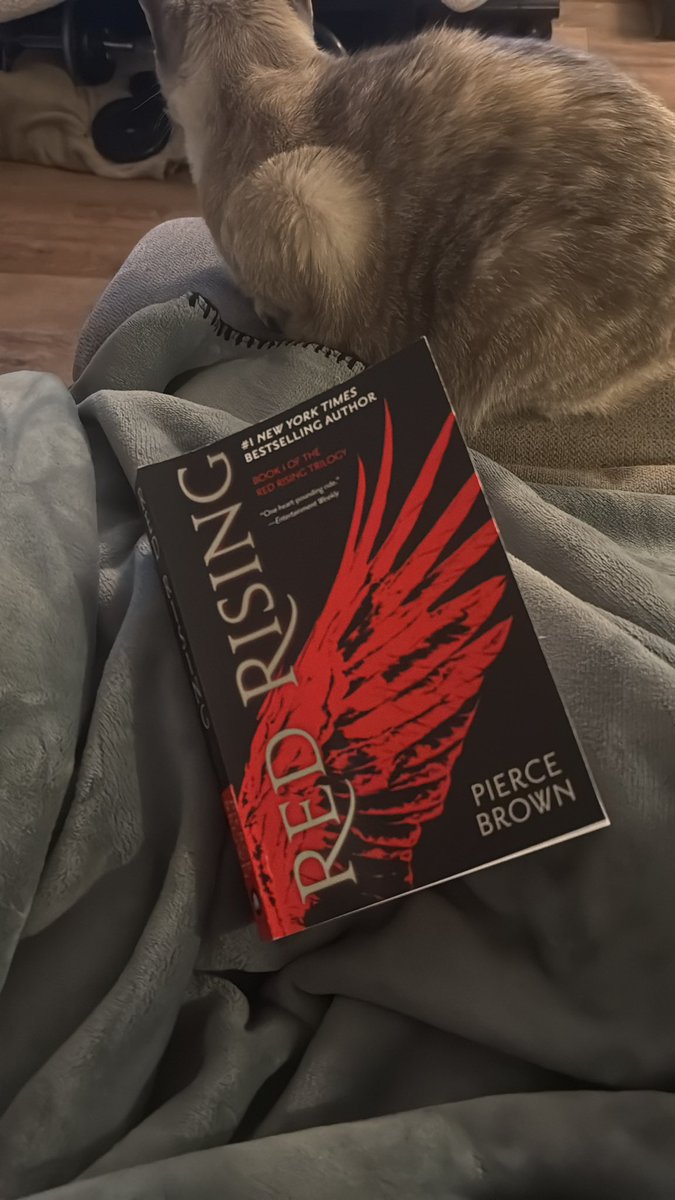 𝔅𝔯𝔦𝔱𝔱 ⸆⸉ | Indy N2 & N3 Survivor 🤍 tweet media