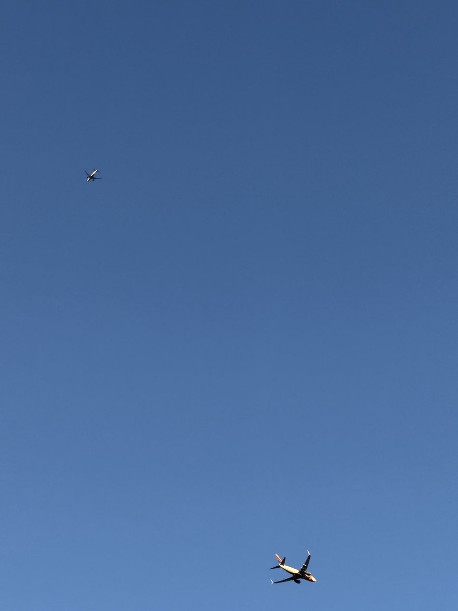 DAL Plane Spotting tweet media