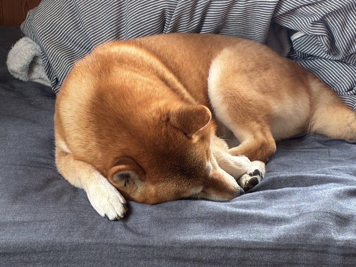 ひだまり tweet media