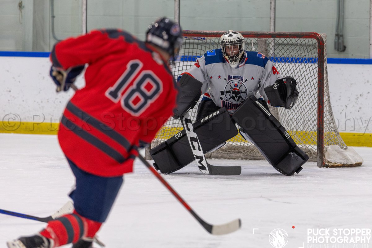 Puck Stopper Photography tweet media