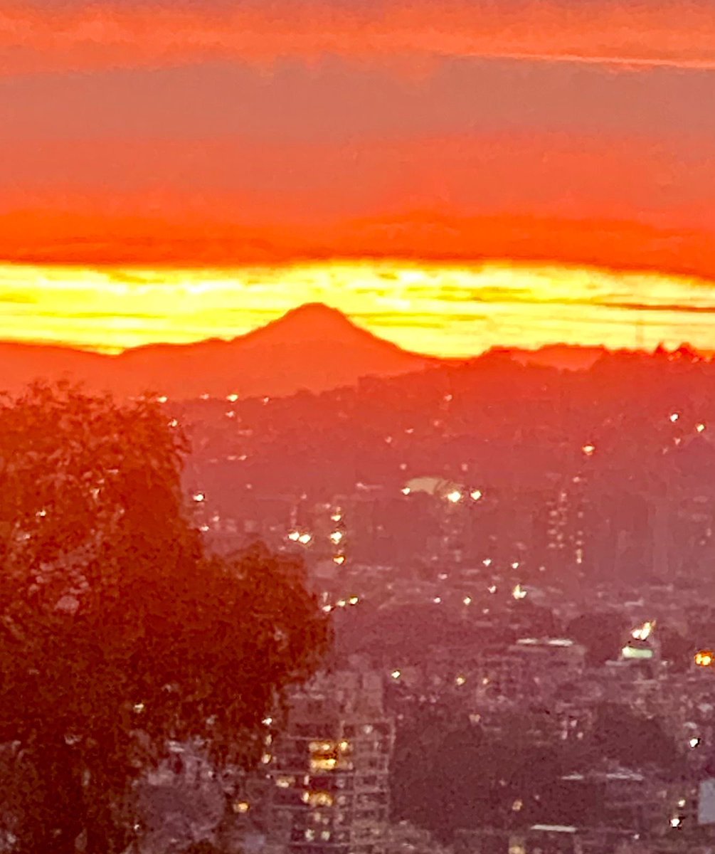 Felipe Arias tweet media