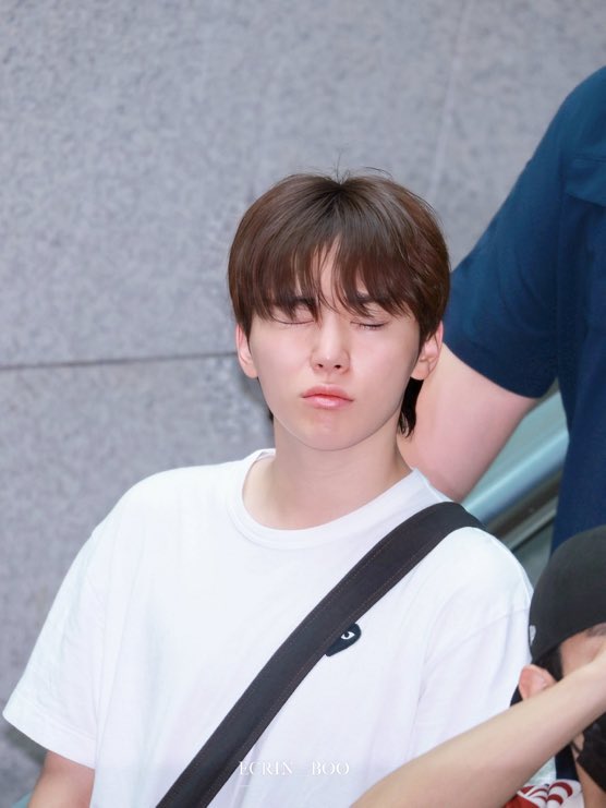 damback_sb's tweet photo. 부몽사몽 너무 귀엽지않니 https://t.co/KmUFVBd3pW