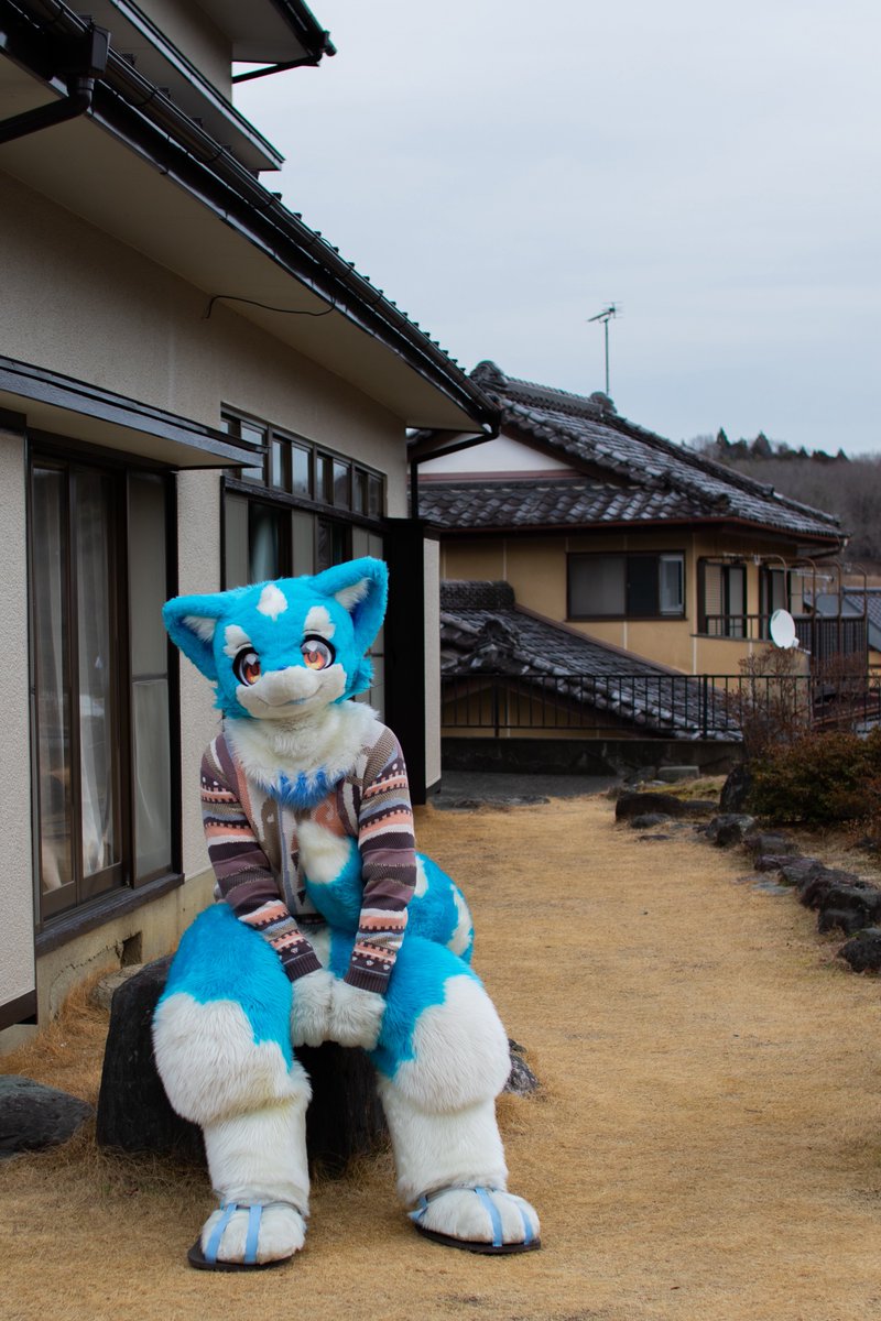 ボラーレ tweet media