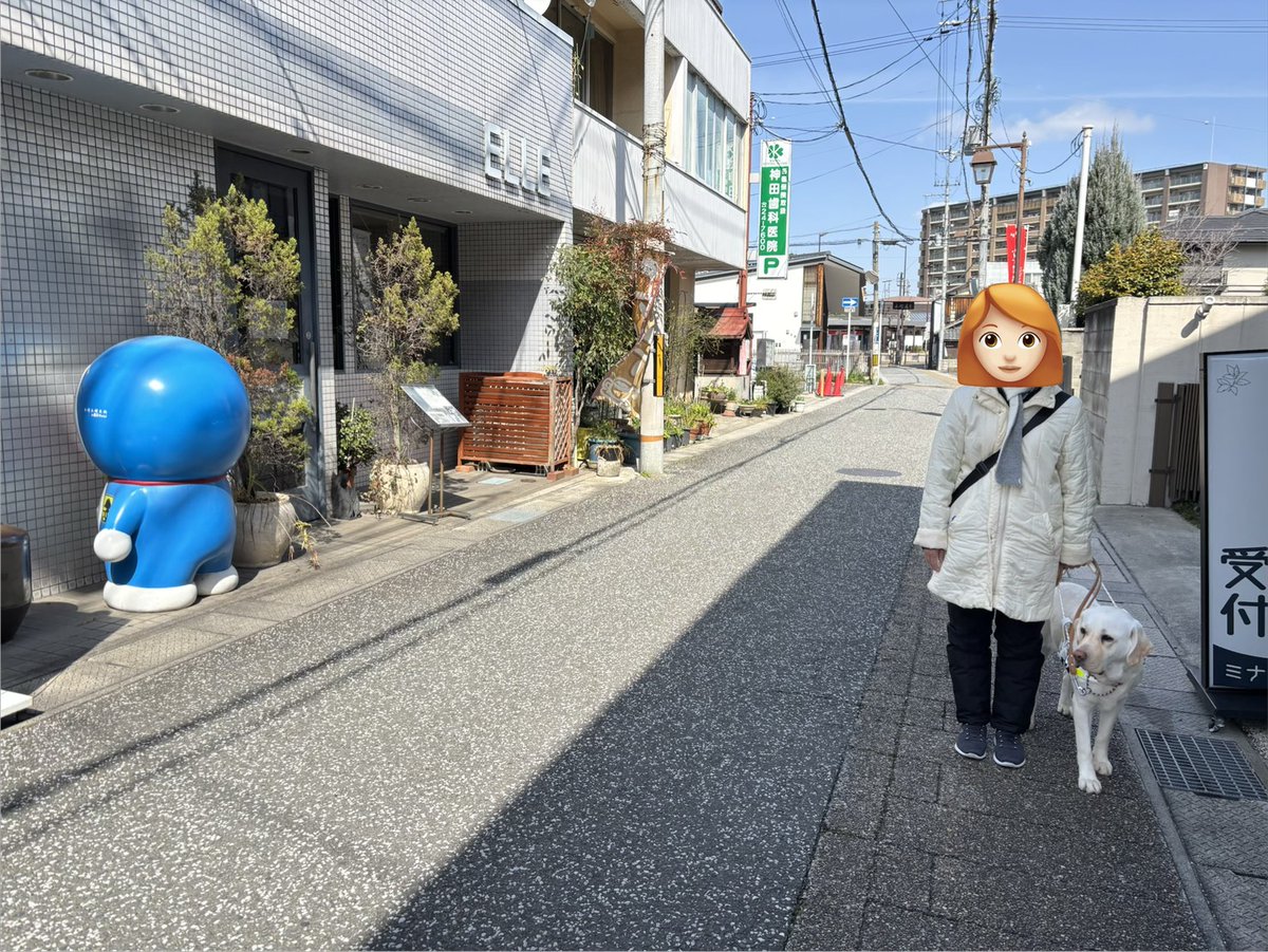 日本ライトハウス　盲導犬訓練所 tweet media