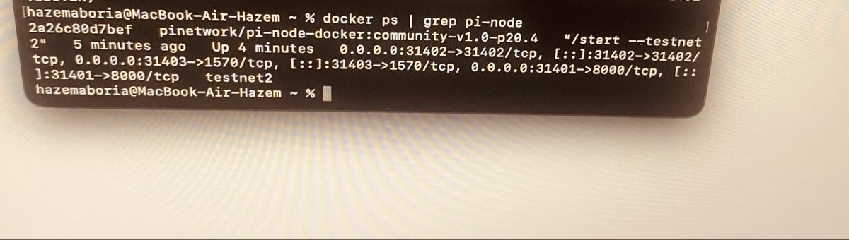RiaHazem's tweet photo. My Pi Node just upgraded from v20.2 → v20.4 🚀  

#PiNetwork #PiNode #RunANode #Blockchain https://t.co/p1AILuhOjA