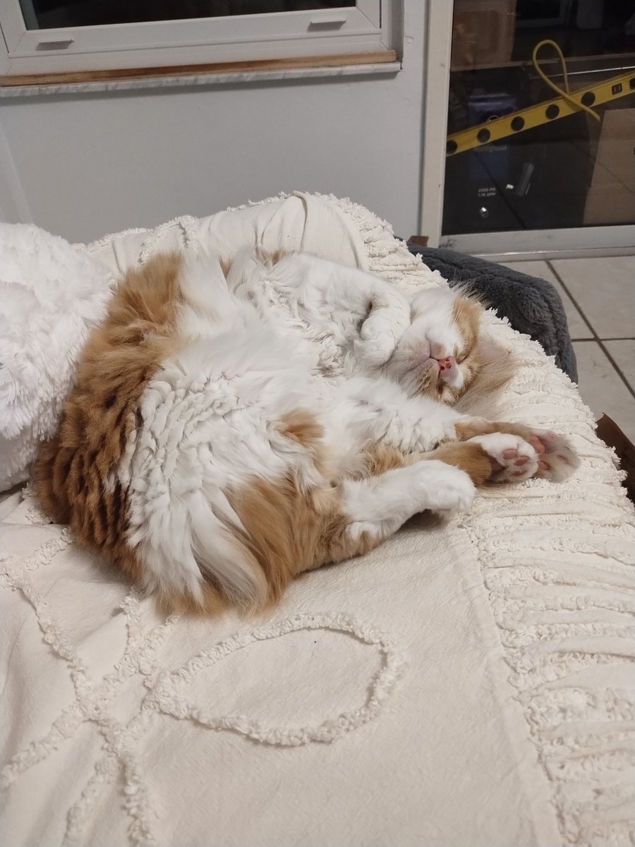 Veronica 🌸 tweet media